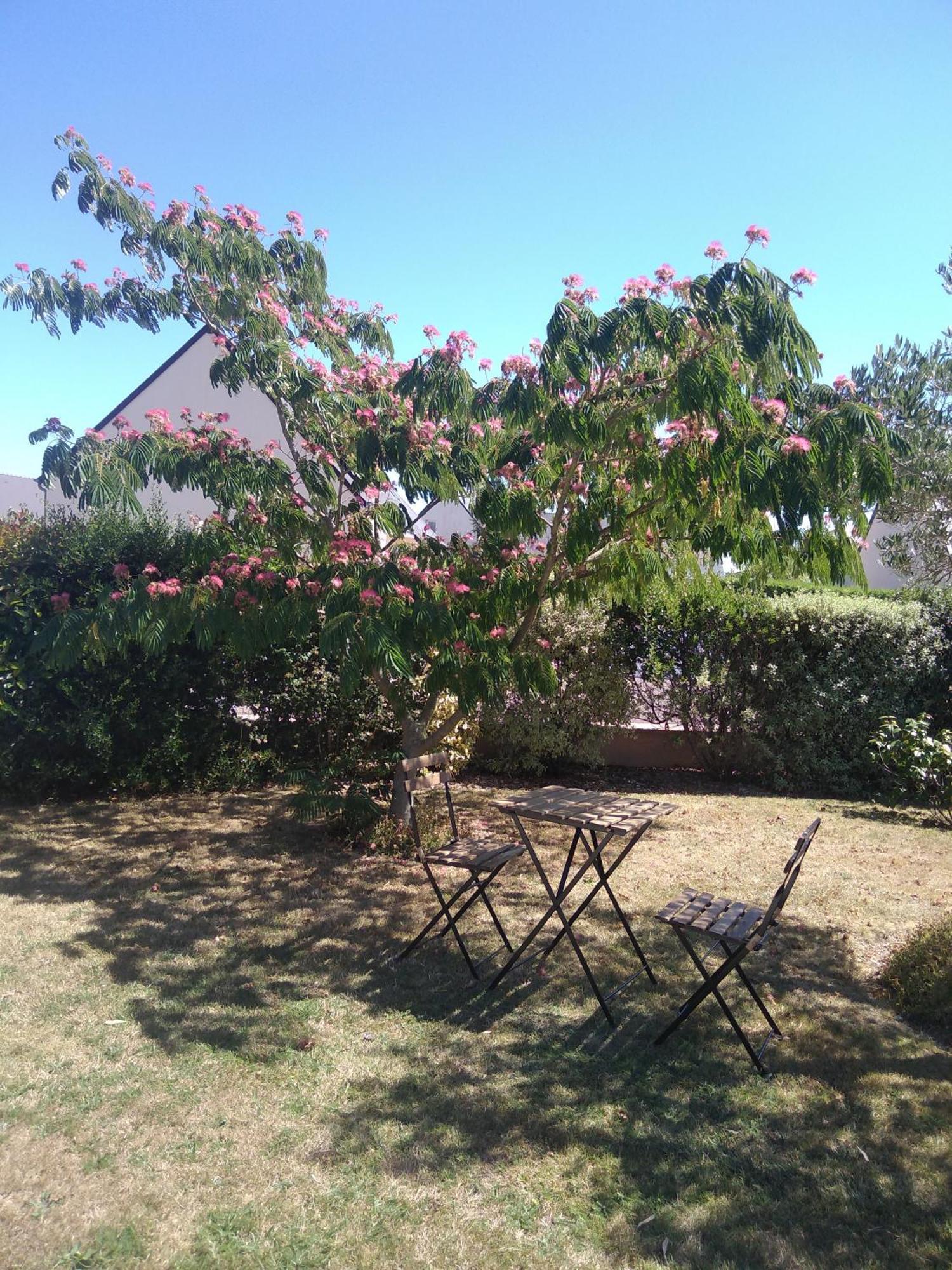 Saint-Hilaire-Petitville Chambre Agreable Au Calme מראה חיצוני תמונה